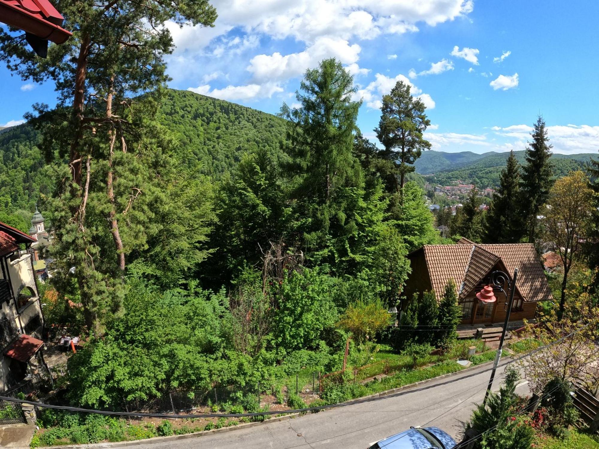 Casa Adina Hotell Sinaia Eksteriør bilde