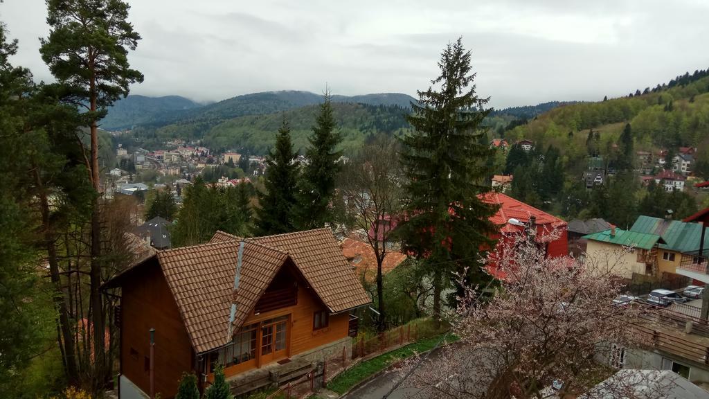 Casa Adina Hotell Sinaia Eksteriør bilde
