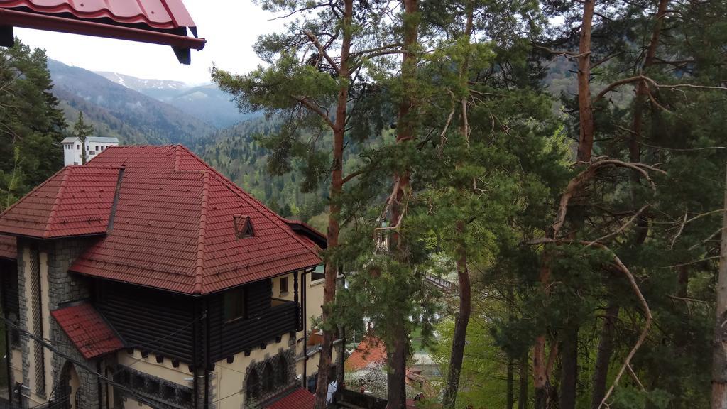 Casa Adina Hotell Sinaia Eksteriør bilde