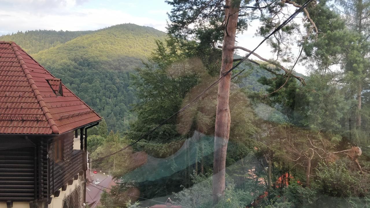Casa Adina Hotell Sinaia Eksteriør bilde